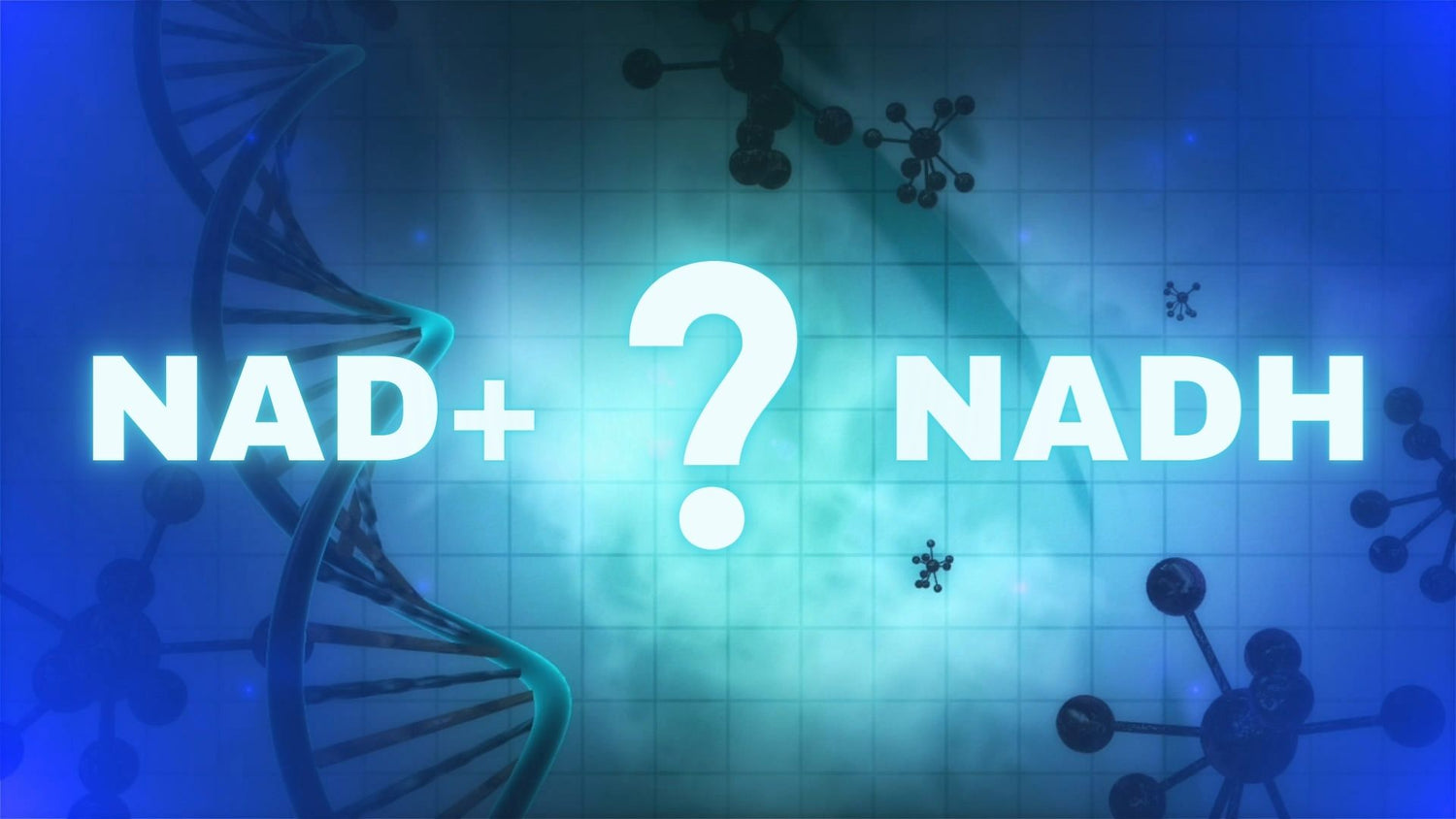 NAD+ et NADH : Quelle différence ?
