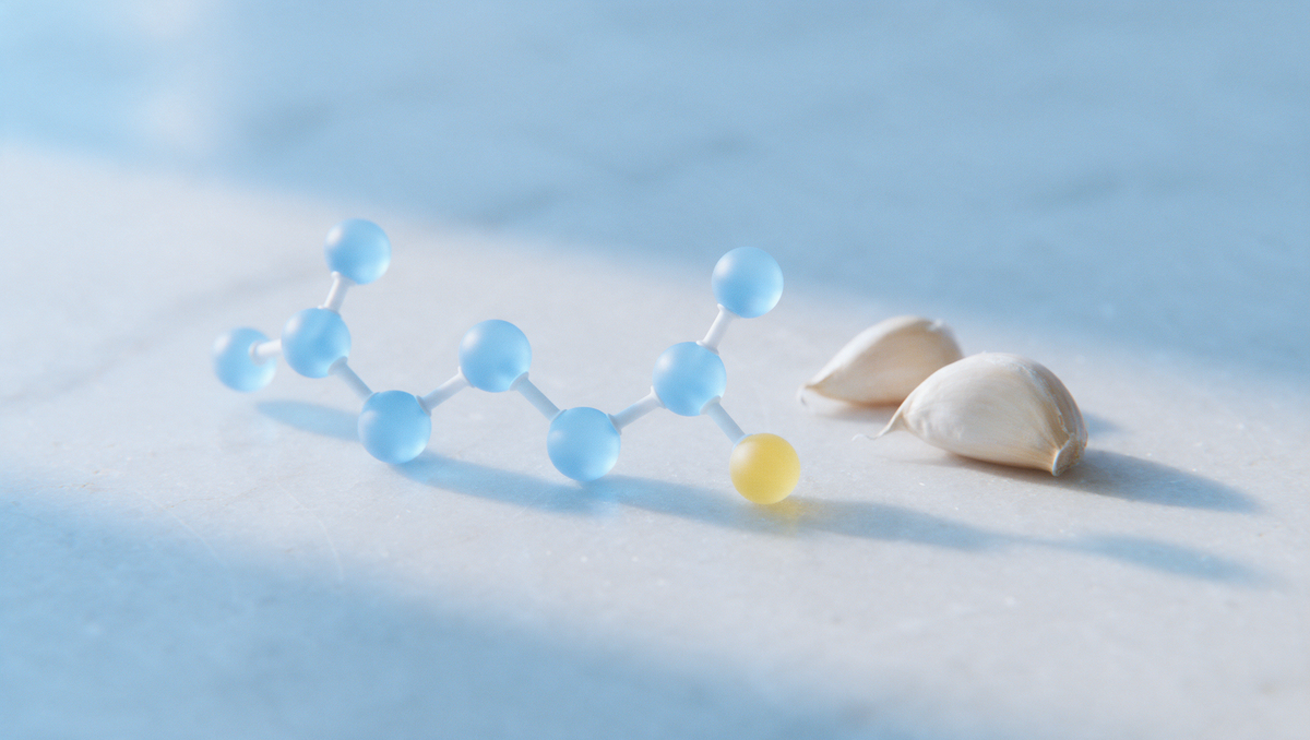 NAC (N-acetylcysteine): roles, studied uses and precautions