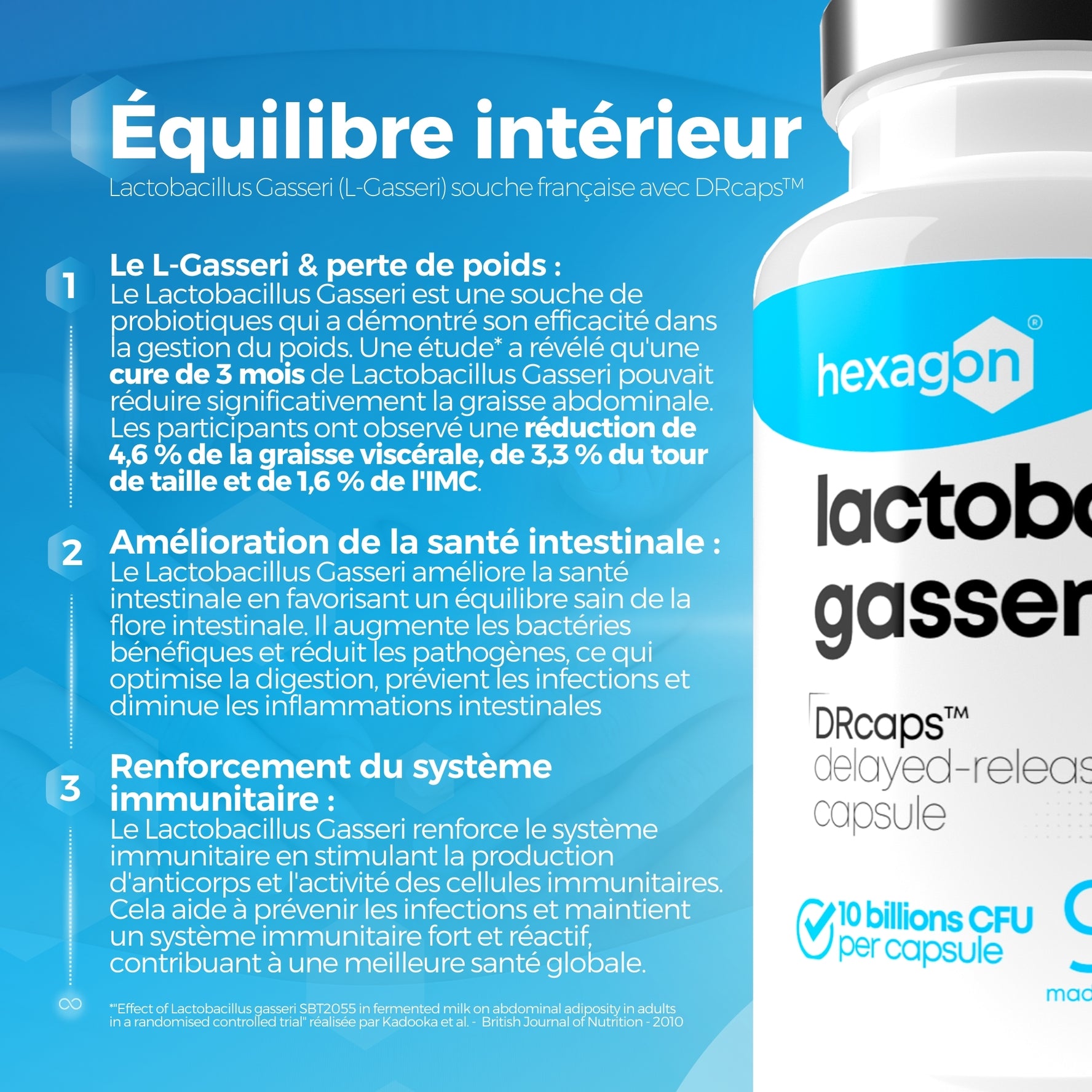 Lactobacillus Gasseri - 10 Milliards CFU / Gélule - Digestion & Bien-être - 90 Gélules