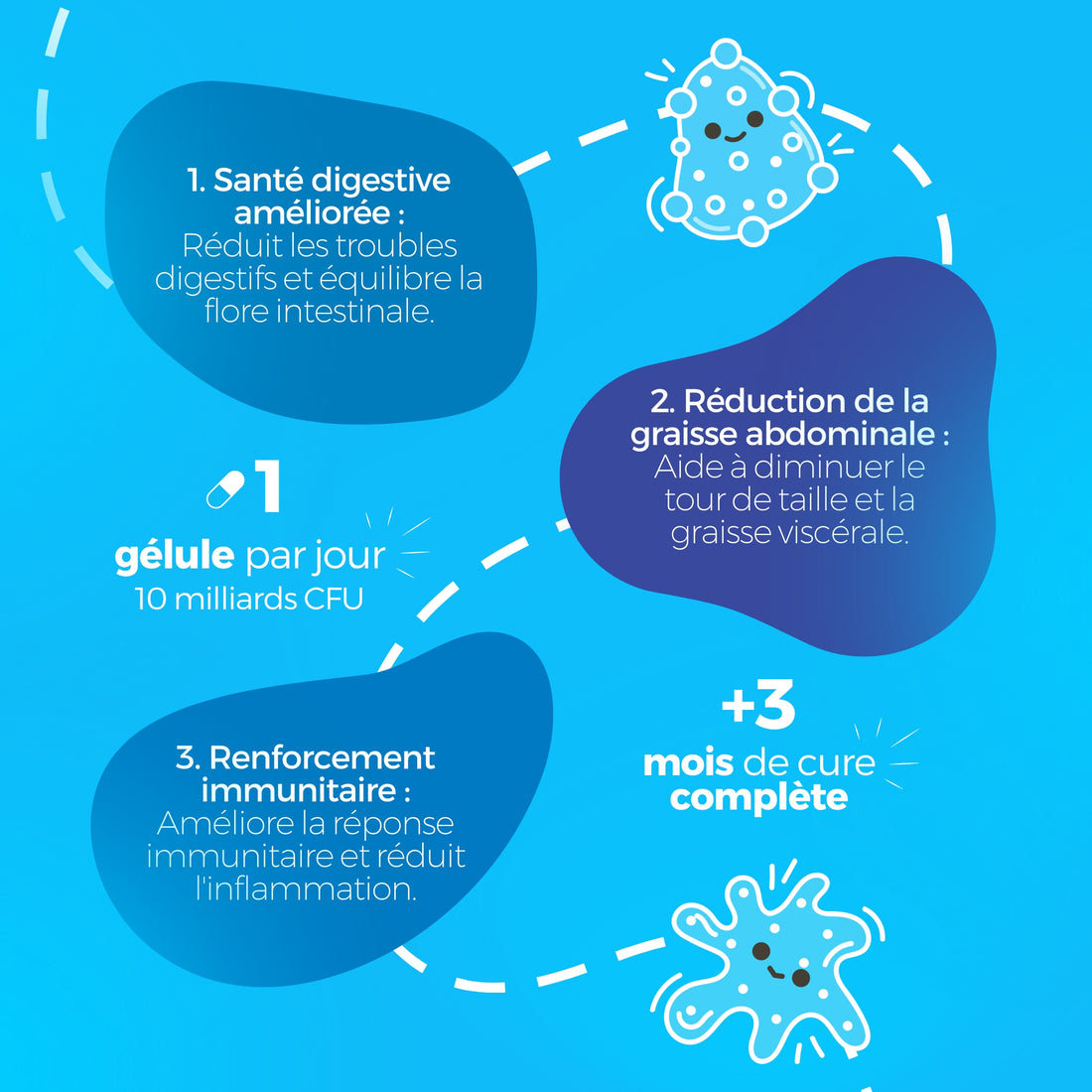 Lactobacillus Gasseri - 10 Milliards CFU / Gélule - Digestion & Bien-être - 90 Gélules