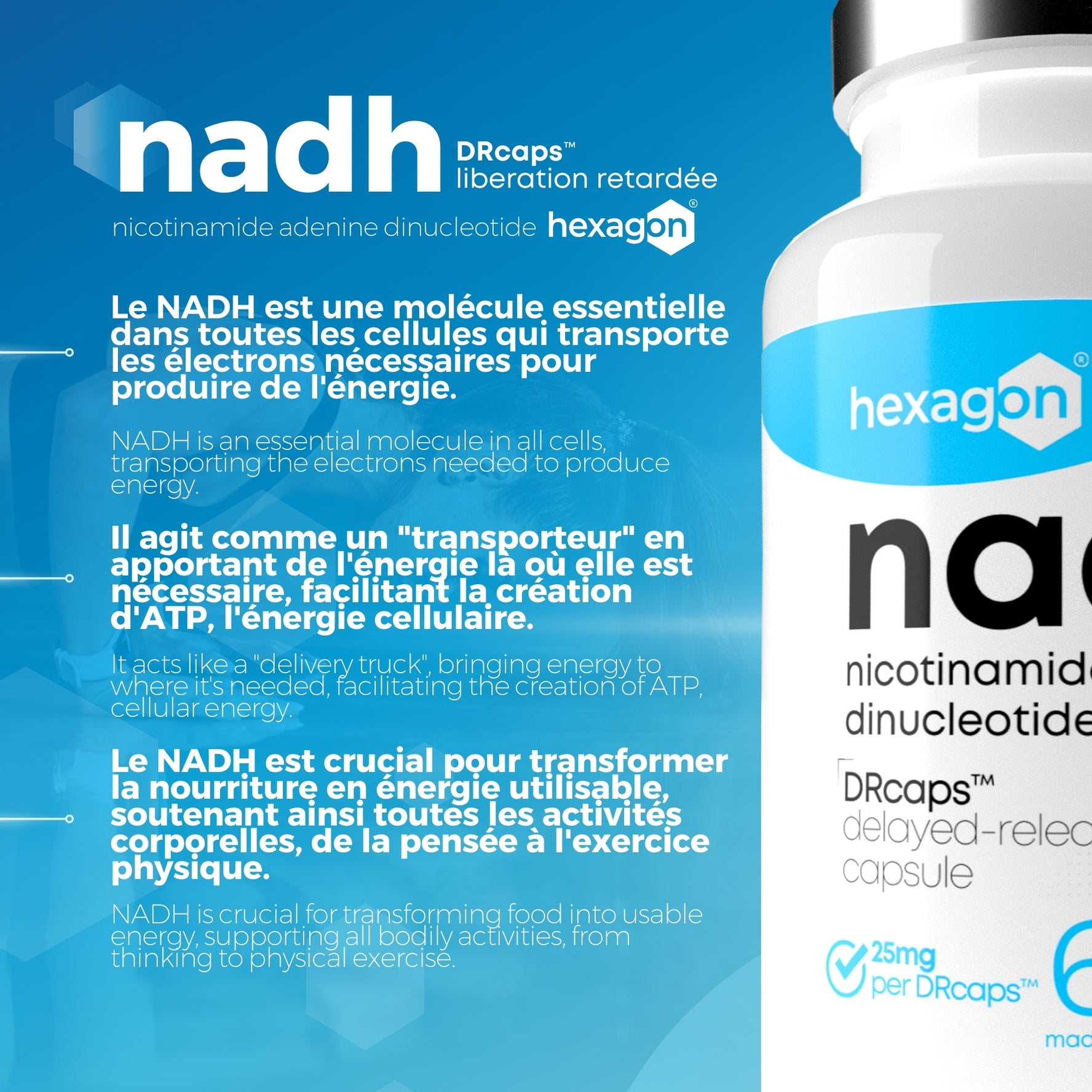NADH 25mg - DRcaps™ Libération Retardée - Énergie & Boost - 60 Gélules