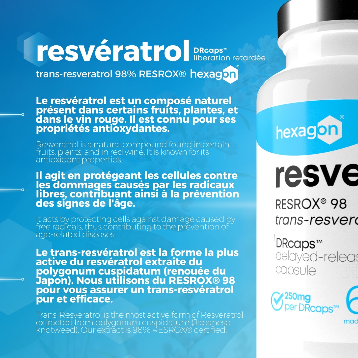 Resvegen™ - Trans-Resveratrol 98% labellisé RESROX® - 60 Gélules