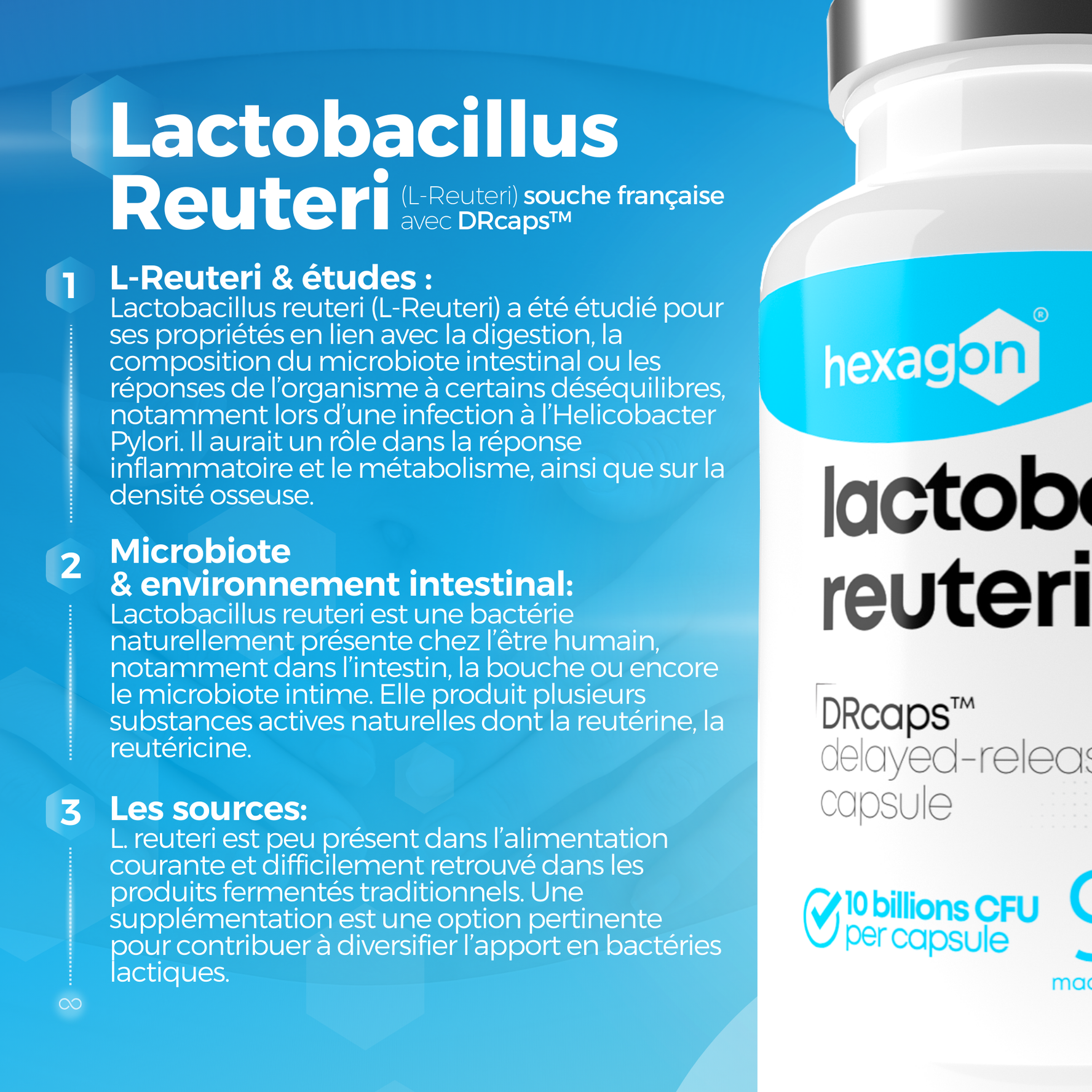 Lactobacillus Reuteri - 10 Milliards CFU / Gélule - Digestion & Bien-être - 90 Gélules