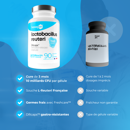 Lactobacillus Reuteri - 10 Milliards CFU / Gélule - Digestion & Bien-être - 90 Gélules