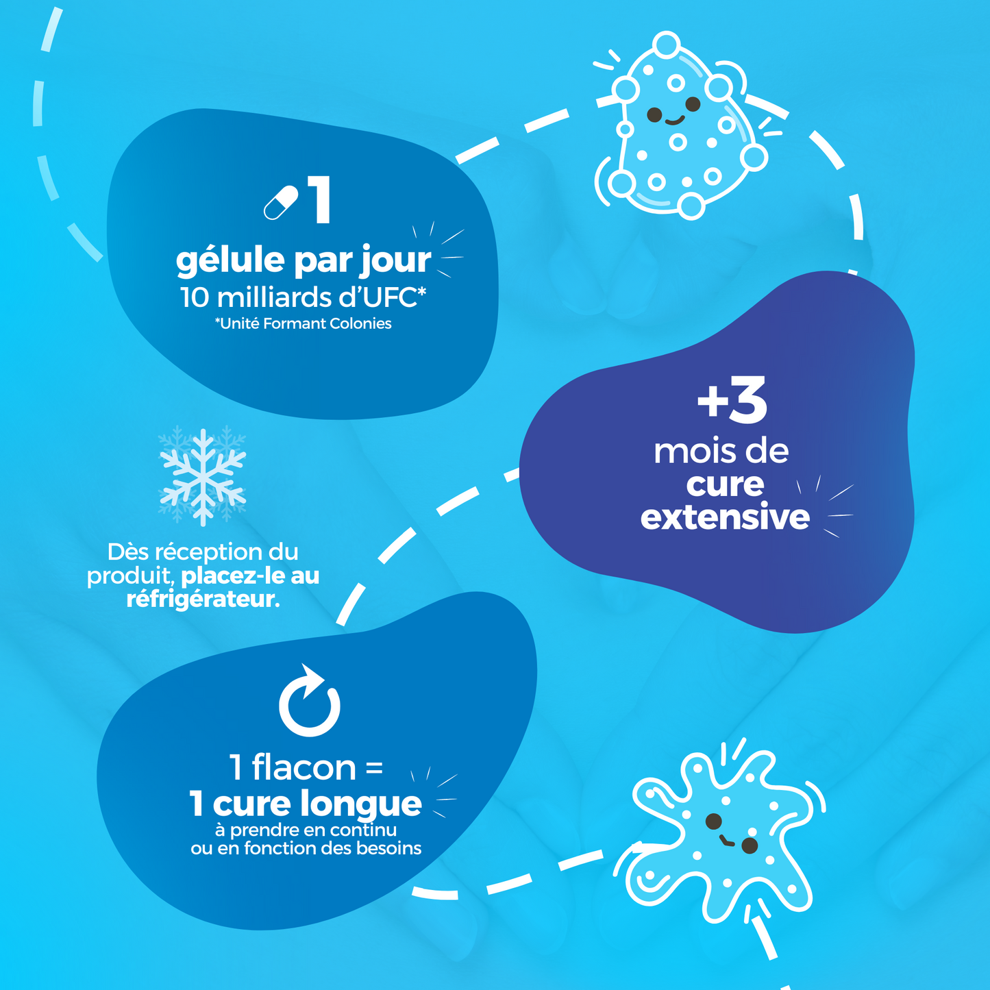 Lactobacillus Reuteri - 10 Milliards CFU / Gélule - Digestion & Bien-être - 90 Gélules