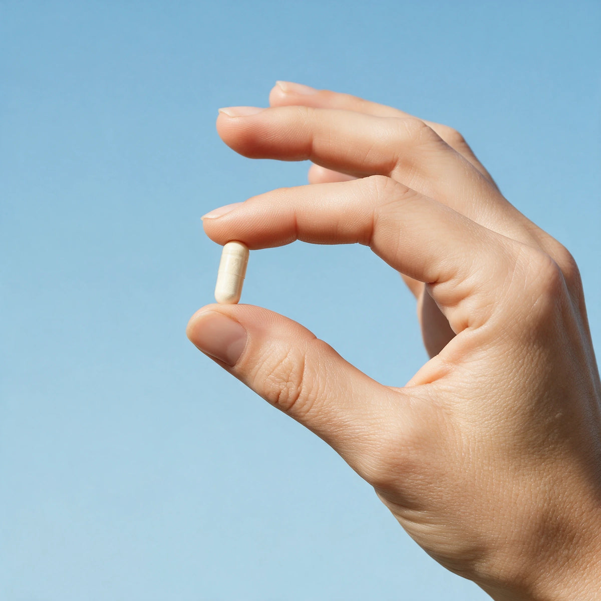 Lactobacillus reuteri Hexagon® — In de hand